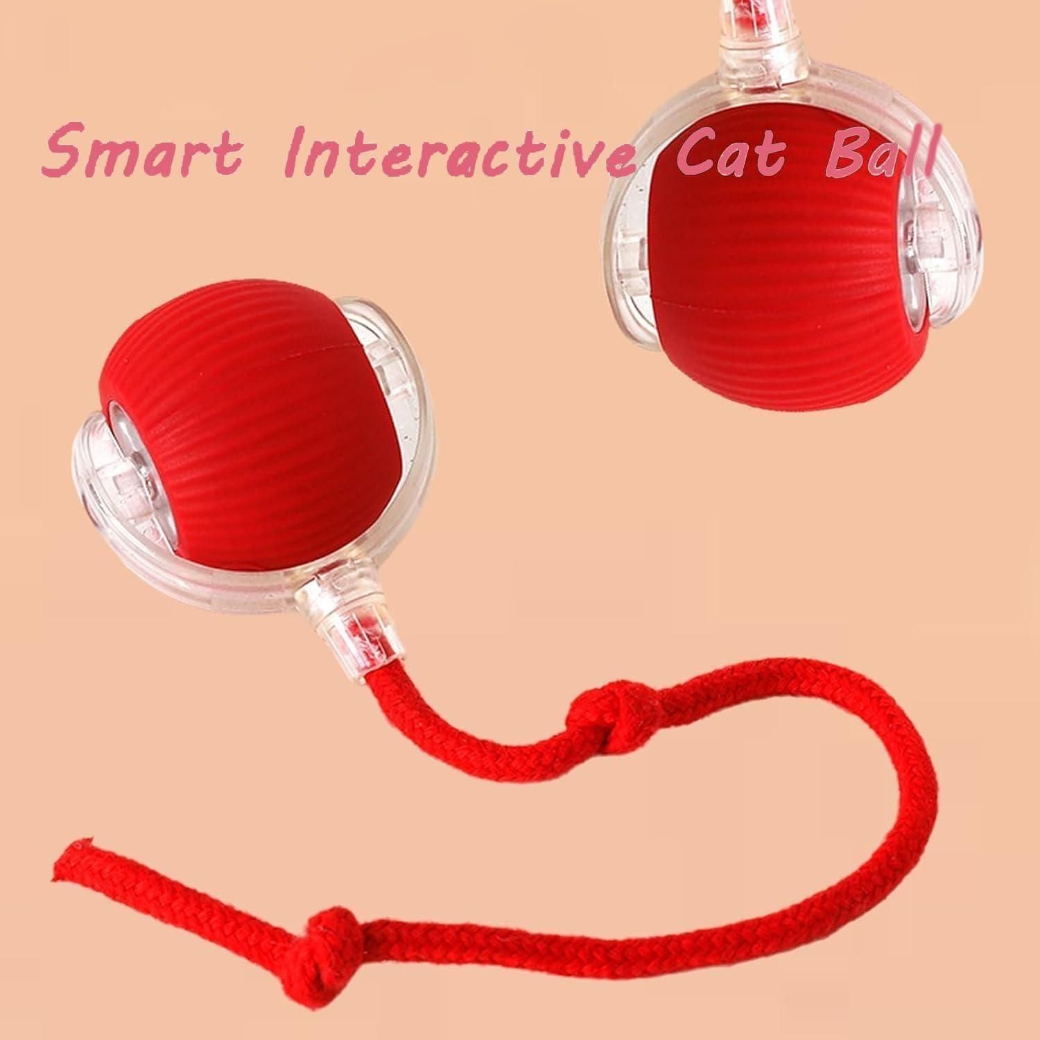 Viral Smart Rolling Ball