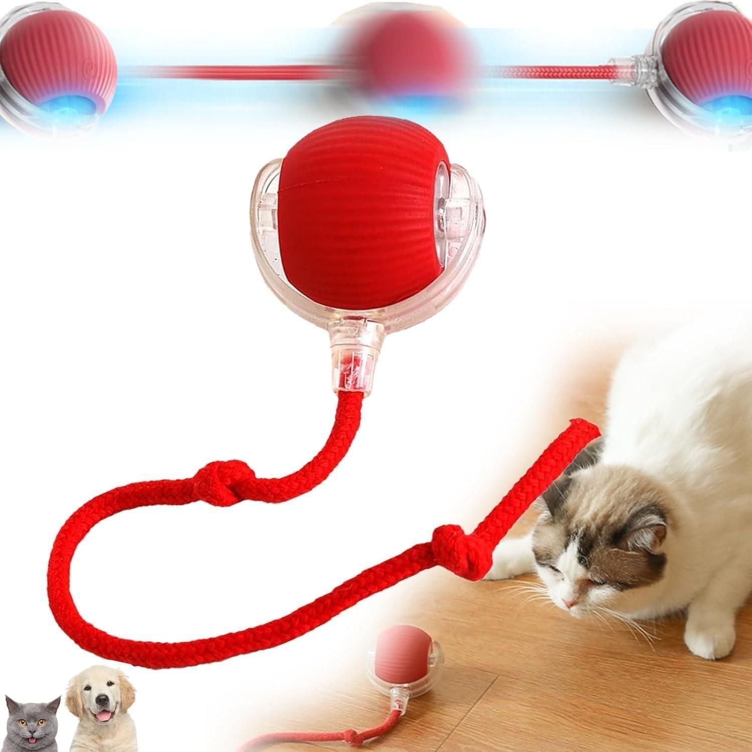 Viral Smart Rolling Ball